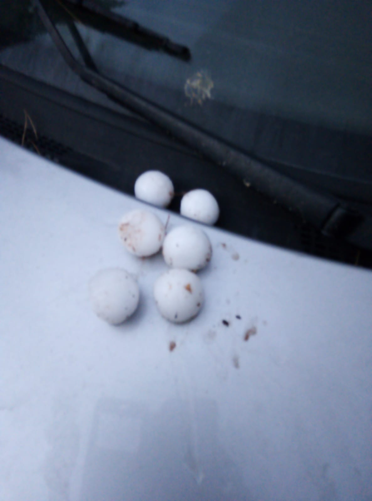 Villanueva de los Infantes pedirá ser declarada zona catastrófica tras las tormentas Villanueva de los Infantes pedirá ser declarada zona catastrófica tras las tormentas