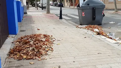 El PP critica la falta de limpieza en Ciudad Real El PP critica la falta de limpieza en Ciudad Real