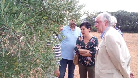 Los representantes de Junta y Diputaci&oacute;n han visitado la zona afectada por el granizo. 