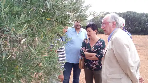 Los representantes de Junta y Diputación han visitado la zona afectada por el granizo. Los representantes de Junta y Diputación han visitado la zona afectada por el granizo.