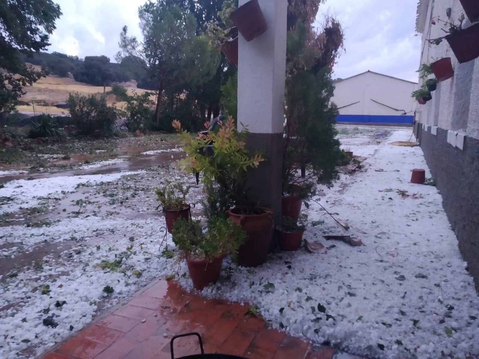 Asaja calcula que el granizo arrasó miles de hectáreas de vid, olivar y pimiento del Campo de Montiel Asaja calcula que el granizo arrasó miles de hectáreas de vid, olivar y pimiento del Campo de Montiel
