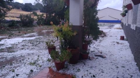 El granizo ha causado da&ntilde;os importantes en muchas explotaciones del Campo de Montiel