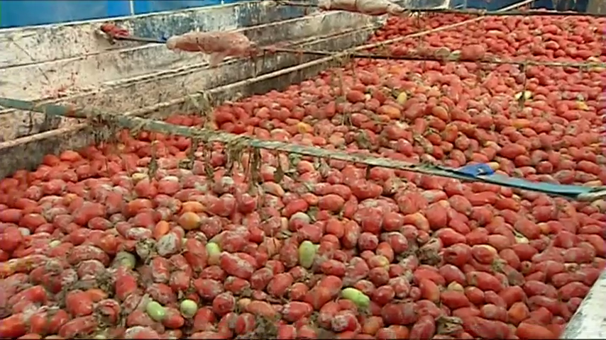 Más de 145.000 kilos de tomates colorean Buñol en su tradicional 'Tomatina' Más de 145.000 kilos de tomates colorean Buñol en su tradicional 'Tomatina'