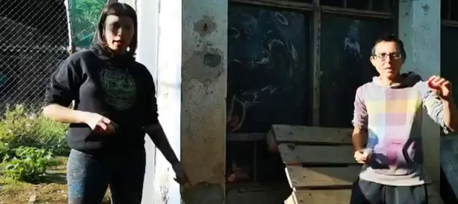 El santuario animal 'Almas Veganas' pide que "no se violen a las gallinas" El santuario animal 'Almas Veganas' pide que "no se violen a las gallinas"