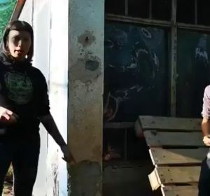 El santuario animal 'Almas Veganas' pide que "no se violen a las gallinas" El santuario animal 'Almas Veganas' pide que "no se violen a las gallinas"