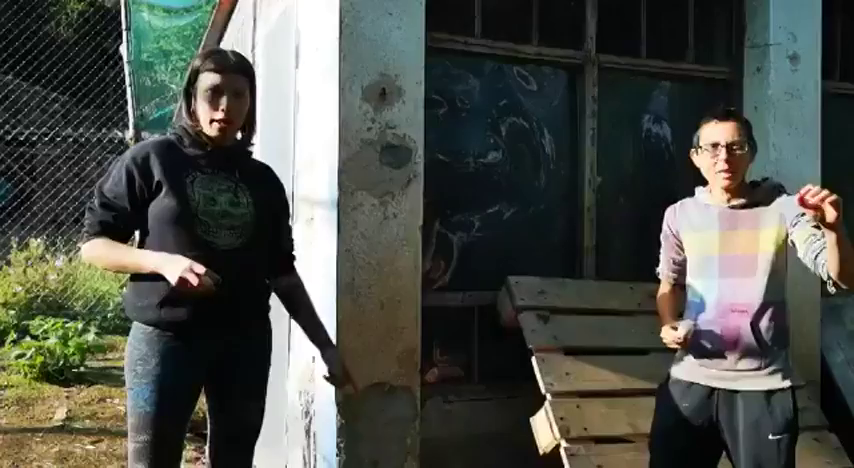 Se viraliza el vídeo de las animalistas que separan a gallos de gallinas "porque las violan" Se viraliza el vídeo de las animalistas que separan a gallos de gallinas "porque las violan"
