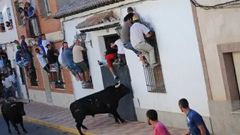 Fernán Caballero celebra este viernes el encierro al estilo Fernanduco. Fernán Caballero celebra este viernes el encierro al estilo Fernanduco.