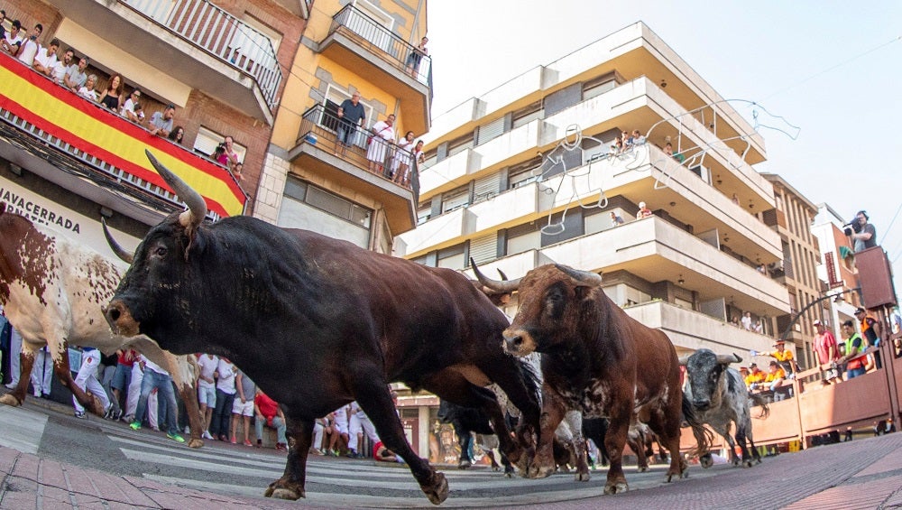 Once heridos deja el penúltimo encierro de San Sebastián de los Reyes Once heridos deja el penúltimo encierro de San Sebastián de los Reyes