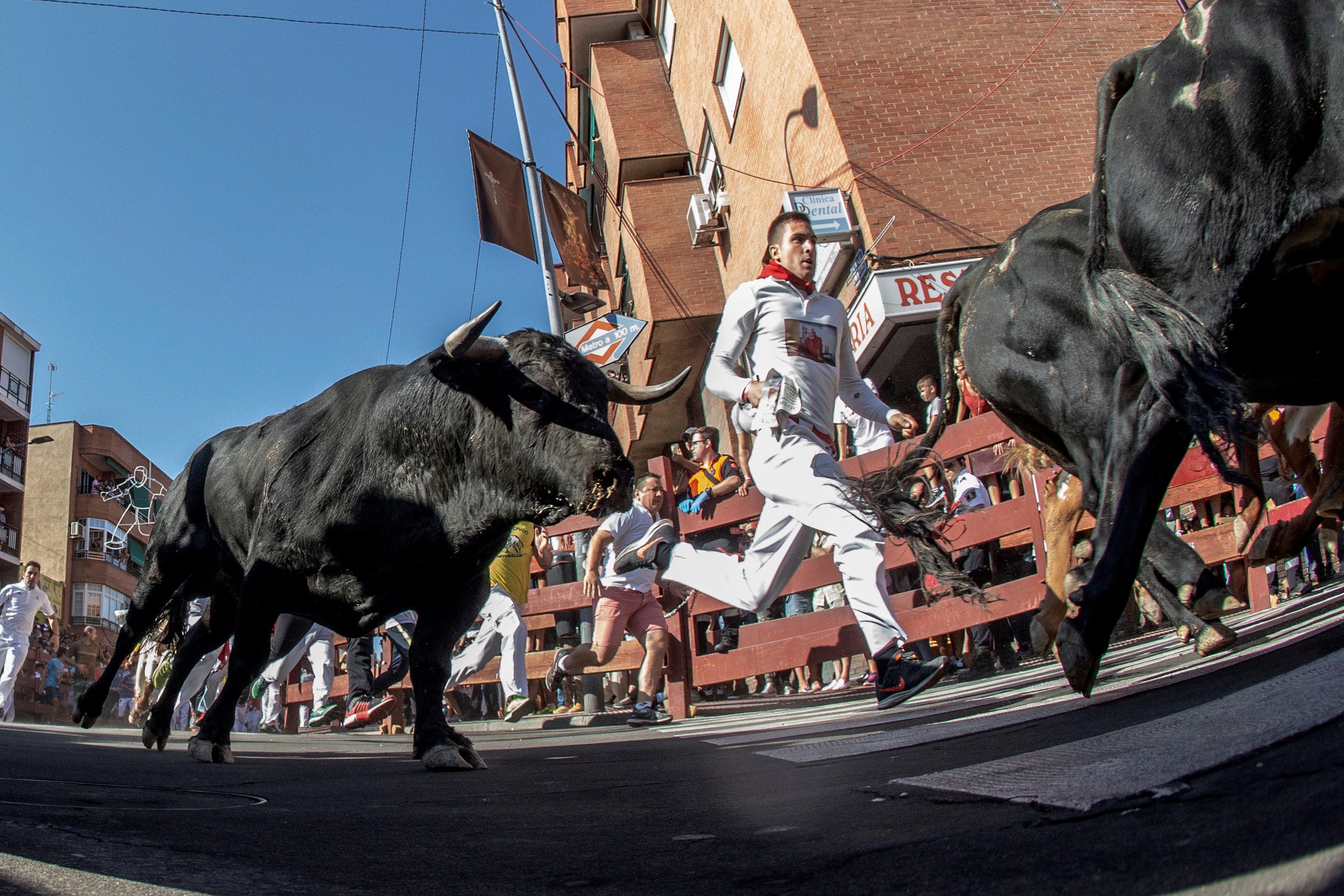 San Sebastián de los Reyes inicia la cuenta atrás para sus fiestas: encierros, toros, conciertos y todo lo que necesitas saber San Sebastián de los Reyes inicia la cuenta atrás para sus fiestas: encierros, toros, conciertos y todo lo que necesitas saber