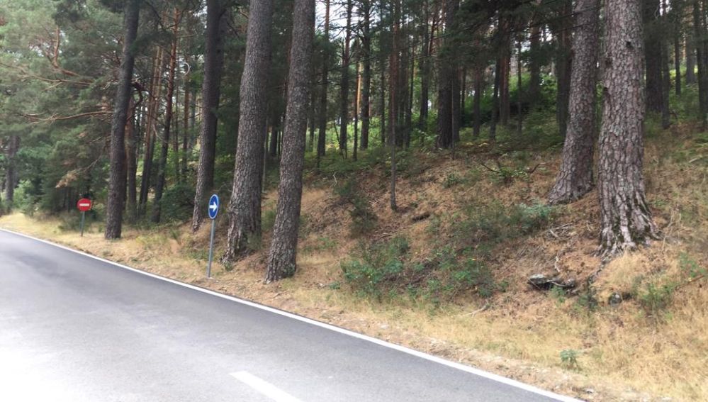 Alrededores del aparcamiento, entre Cercedilla y Fuenfría, donde se ha encontrado el coche 