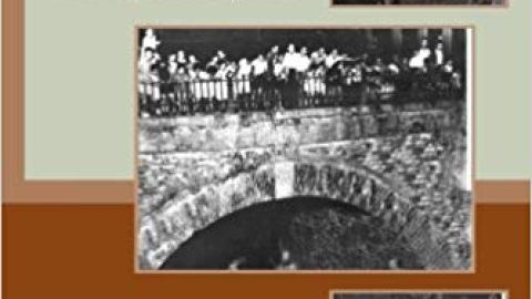 Portada de ' La oleada de los duendes'