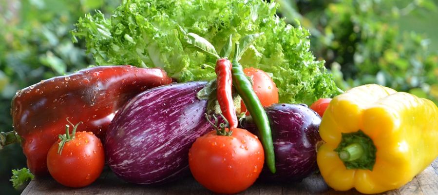 Claves para una alimentación óptima durante el embarazo Claves para una alimentación óptima durante el embarazo