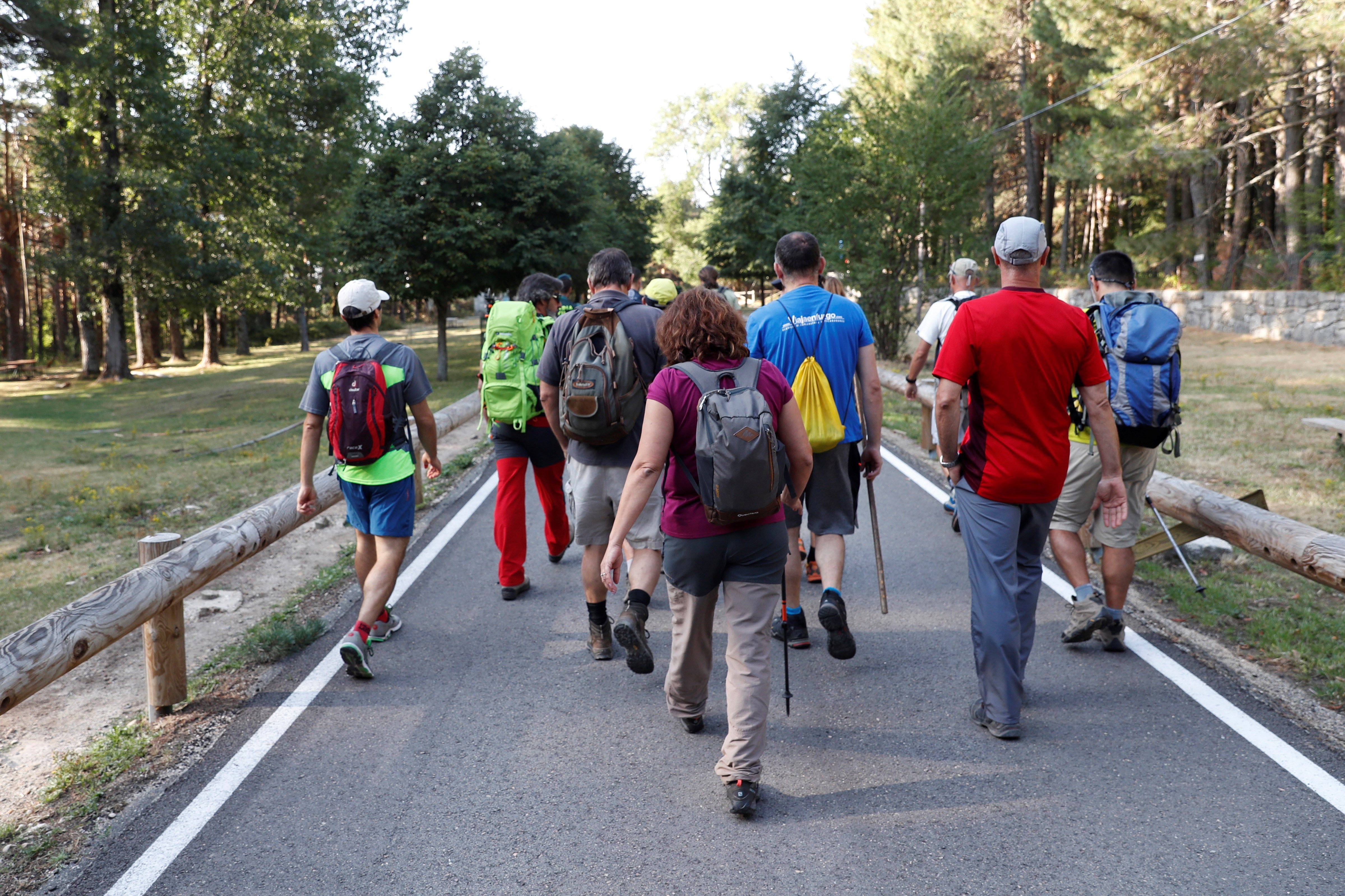 La búsqueda de Blanca Fernández Ochoa se prevé "larga" y aún no ofrece resultados La búsqueda de Blanca Fernández Ochoa se prevé "larga" y aún no ofrece resultados