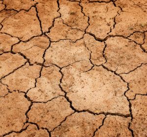 La retroalimentacion entre suelo y atmosfera impulsa la sequia La retroalimentacion entre suelo y atmosfera impulsa la sequia