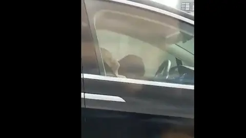 Pillan a una pareja dormida al volante de un Tesla Pillan a una pareja dormida al volante de un Tesla