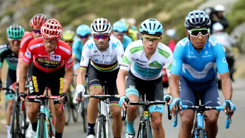 Primoz Roglic, Alejandro Valverde y los colombianos Miguel Ángel López y Nairo Quintana, durante la vigésima etapa de la Vuelta a España 2019 Primoz Roglic, Alejandro Valverde y los colombianos Miguel Ángel López y Nairo Quintana, durante la vigésima etapa de la Vuelta a España 2019