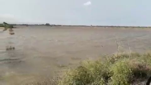 Parcela del parque agrario de Carrizales de Elche anegada tras las lluvias dejadas por la gota fr&iacute;a.