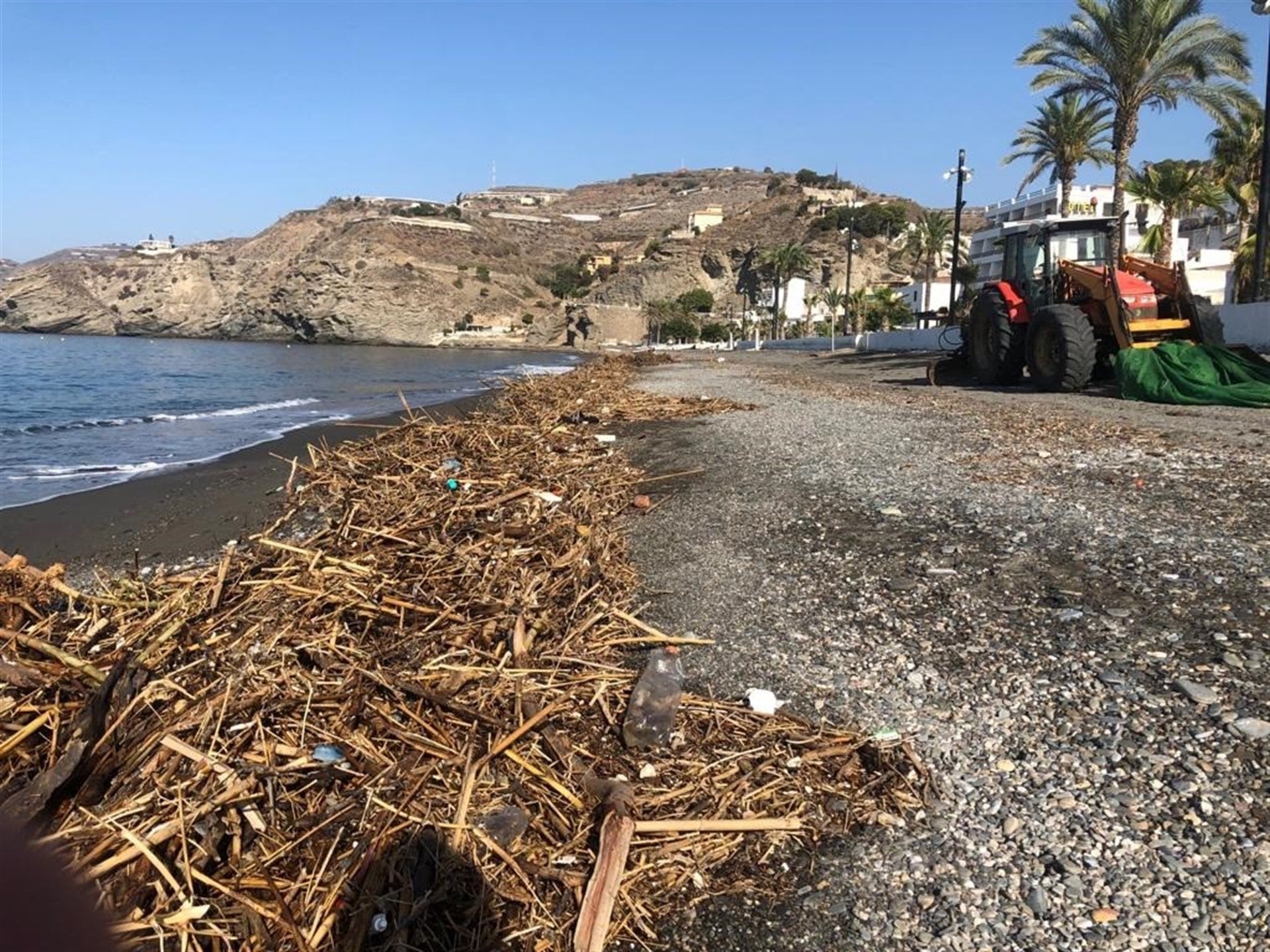 Asociación Bioagradables, voluntariado ambiental y concienciación en sostenibilidad Asociación Bioagradables, voluntariado ambiental y concienciación en sostenibilidad
