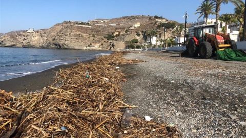 Arrastrado por el temporal 