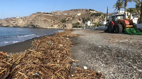 Residuos en las playas de la Costa de Granada Arrastrado por el temporal