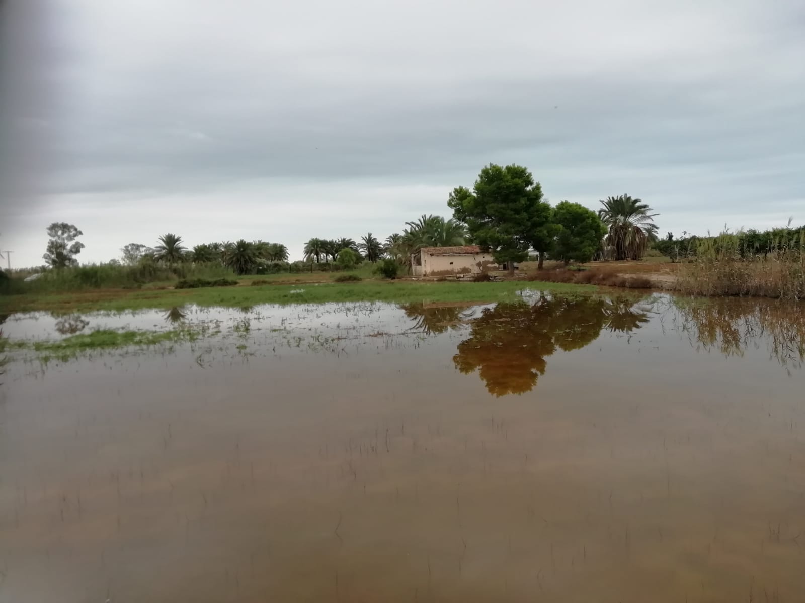 Crevillente mantiene la alerta en San Felipe Neri mientras Santa Pola se afana por recuperar la normalidad Crevillente mantiene la alerta en San Felipe Neri mientras Santa Pola se afana por recuperar la normalidad