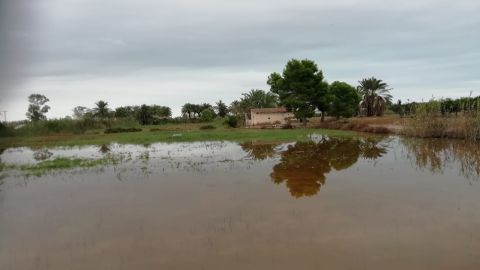 Crevillente mantiene la alerta en San Felipe Neri
