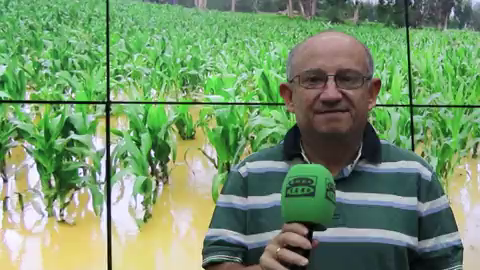 El parte del Borrascas: "Jornada tormentosa en el Palacio de la Zarzuela y en el tiempo" El parte del Borrascas: "Jornada tormentosa en el Palacio de la Zarzuela y en el tiempo"