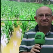 El parte del Borrascas: "Jornada tormentosa en el Palacio de la Zarzuela y en el tiempo" El parte del Borrascas: "Jornada tormentosa en el Palacio de la Zarzuela y en el tiempo"