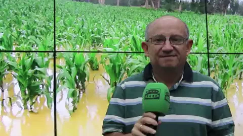 El parte del Borrascas: "Jornada tormentosa en el Palacio de la Zarzuela y en el tiempo"