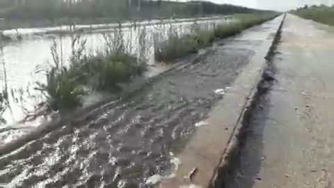 Acequia desbordada en la vereda La Checa desbordada a su paso por el parque agrario de Carrizales de Elche.