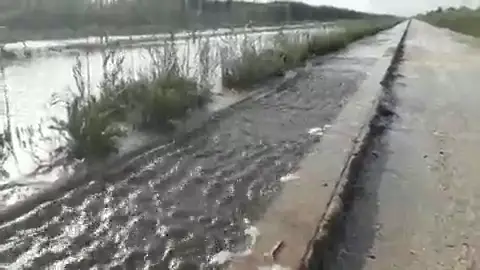 Acequia desbordada en la vereda La Checa desbordada a su paso por el parque agrario de Carrizales de Elche. Acequia desbordada en la vereda La Checa desbordada a su paso por el parque agrario de Carrizales de Elche.