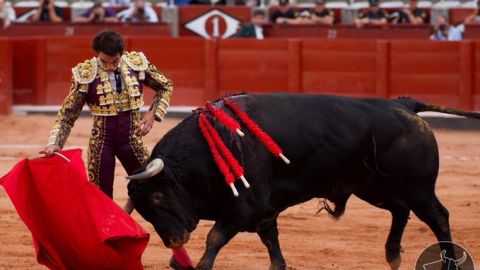 Domingo L&oacute;pez-Chaves