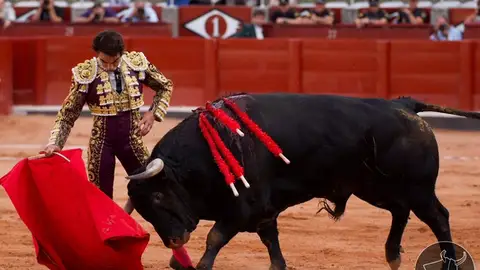 Domingo López-Chaves Domingo López-Chaves