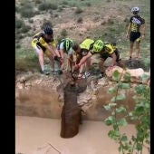 Cuatro ciclistas rescatan a un ciervo
