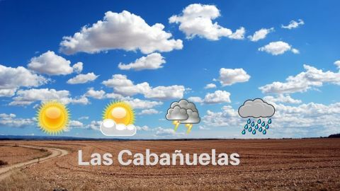 Las caba&ntilde;uelas ya han pronosticado el tiempo que har&aacute; en Ciudad Real en 2.020