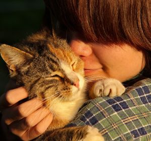 Los gatos tambien muestran apego con sus duenos Los gatos tambien muestran apego con sus duenos