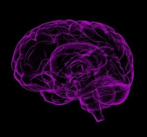 ilustración de un cerebro ilustración de un cerebro