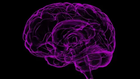 ilustración de un cerebro ilustración de un cerebro