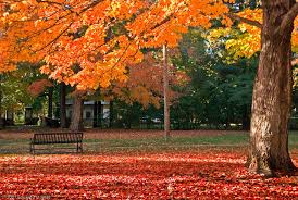 Llega el Otoño a Extremadura Llega el Otoño a Extremadura