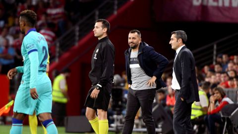 El entrenador del Granada, Diego Mart&iacute;nez. 