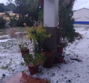 Las tormentas afectaron gravemente al Campo de Montiel Las tormentas afectaron gravemente al Campo de Montiel