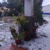 Las tormentas afectaron gravemente al Campo de Montiel