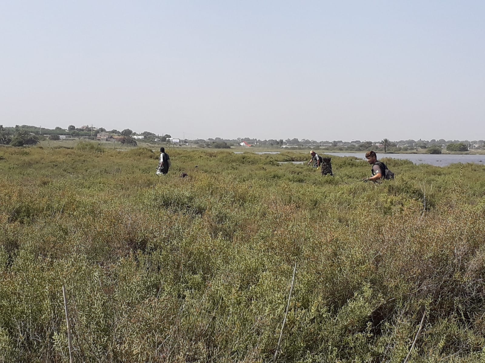 Los ayuntamientos de Elche y Crevillent intensifican las fumigaciones contra los mosquitos y piden la colaboración ciudadana en las fincas particulares Los ayuntamientos de Elche y Crevillent intensifican las fumigaciones contra los mosquitos y piden la colaboración ciudadana en las fincas particulares