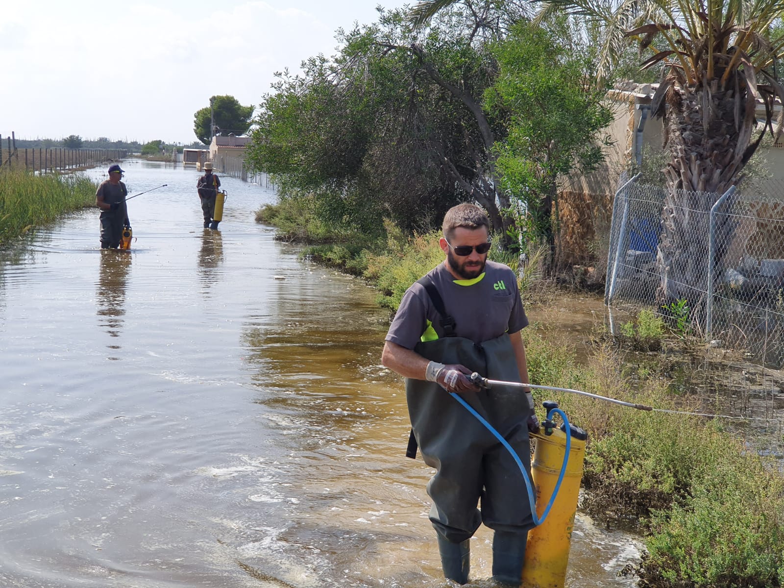 El virus del Nilo se cobra una tercera víctima mortal y afecta a día de hoy a 33 personas El virus del Nilo se cobra una tercera víctima mortal y afecta a día de hoy a 33 personas