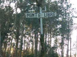 Más de Uno 08.20 Provincia de Pontevedra 25/09/2019 Más de Uno 08.20 Provincia de Pontevedra 25/09/2019