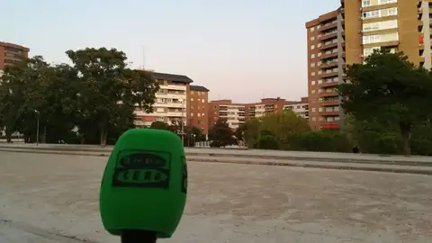 Barrileño Vista Alegre Barrileño Vista Alegre