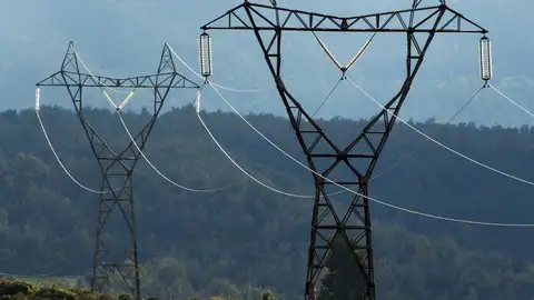 Impugnan línea Caparacena -La Ribina Plataforma contra las torres eléctricas