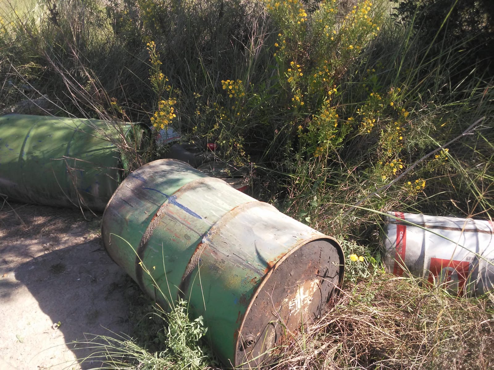 Vecinos de Vallongas y Ferriol denuncian la acumulación de bidones en el entorno del barranco del Grifo de Elche Vecinos de Vallongas y Ferriol denuncian la acumulación de bidones en el entorno del barranco del Grifo de Elche