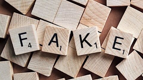 El sistema desarrollado es capaz de detectar de manera autom&aacute;tica revisores falsos (fake reviewers) que muestran opiniones en Internet. / pixabay