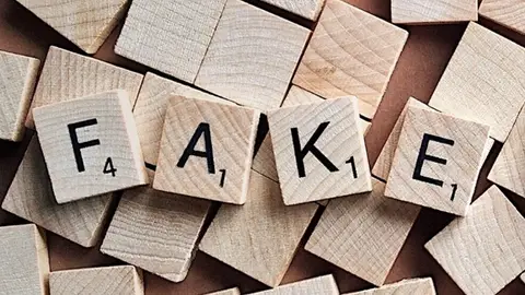 El sistema desarrollado es capaz de detectar de manera automática revisores falsos (fake reviewers) que muestran opiniones en Internet. / pixabay El sistema desarrollado es capaz de detectar de manera automática revisores falsos (fake reviewers) que muestran opiniones en Internet. / pixabay